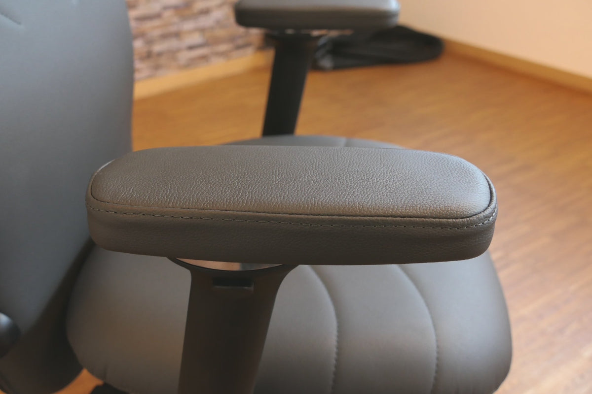 Haider Bioswing 460 iQ - LEDER anthrazit - Einzelstück