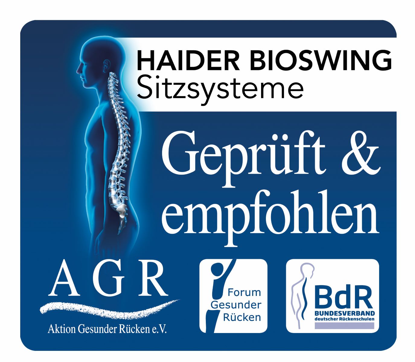 Haider Bioswing 560 iQ LEDER - Bestseller